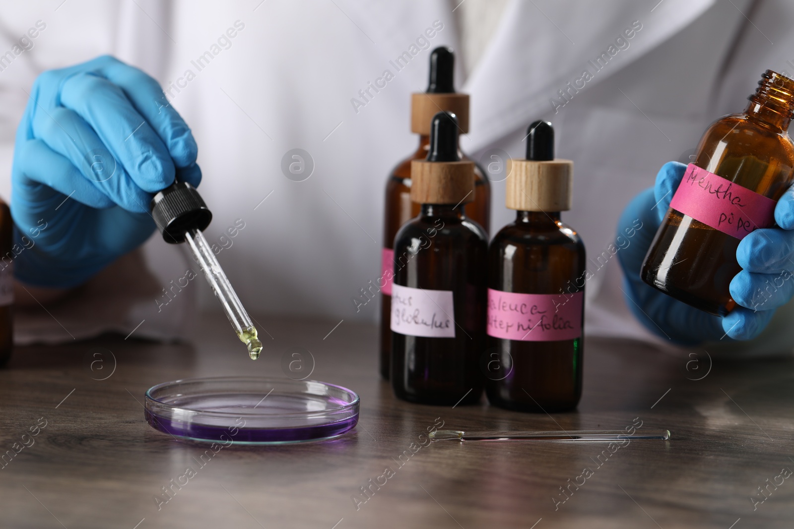 Professional perfumer developing luxury perfume at wooden table in laboratory, closeup Photo of Professional perfumer developing luxury perfume at wooden table in laboratory, closeup
