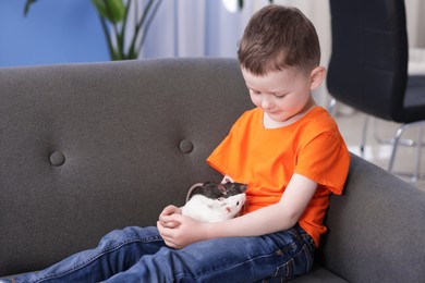 Photo of Little boy with his pet rats on sofa at home. Space for text