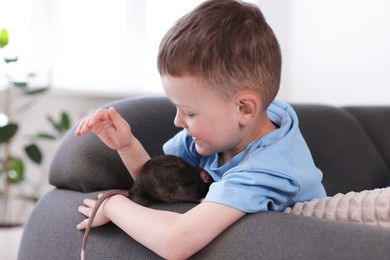 Photo of Little boy with his pet rat on sofa at home