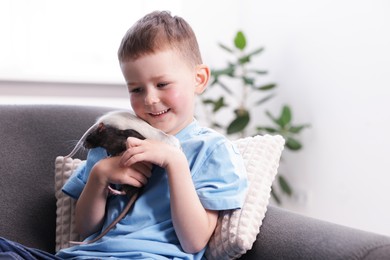 Photo of Little boy with his pet rats on sofa at home