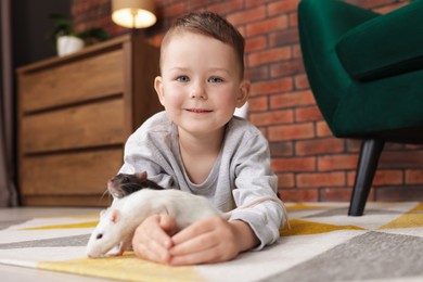 Photo of Little boy with his pet rats on floor at home