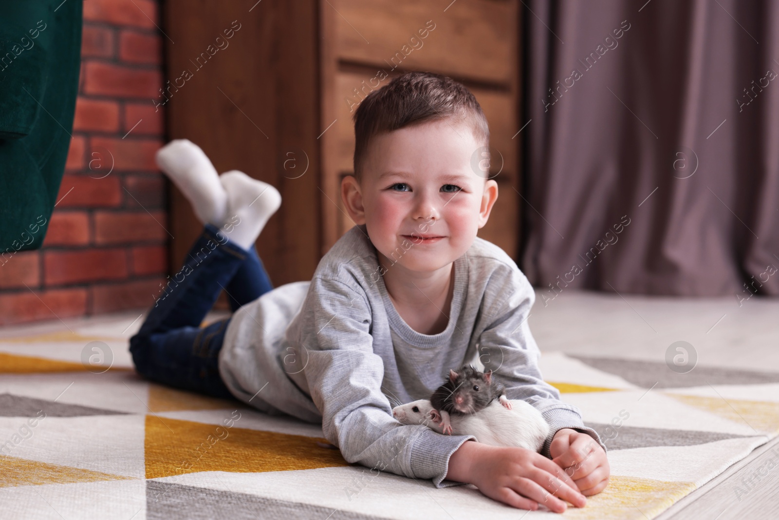 Little boy with his pet rats on floor at home Photo of Little boy with his pet rats on floor at home