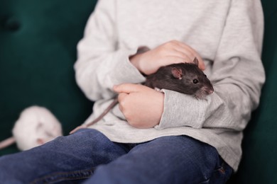 Photo of Little boy with his pet rats on sofa at home, closeup