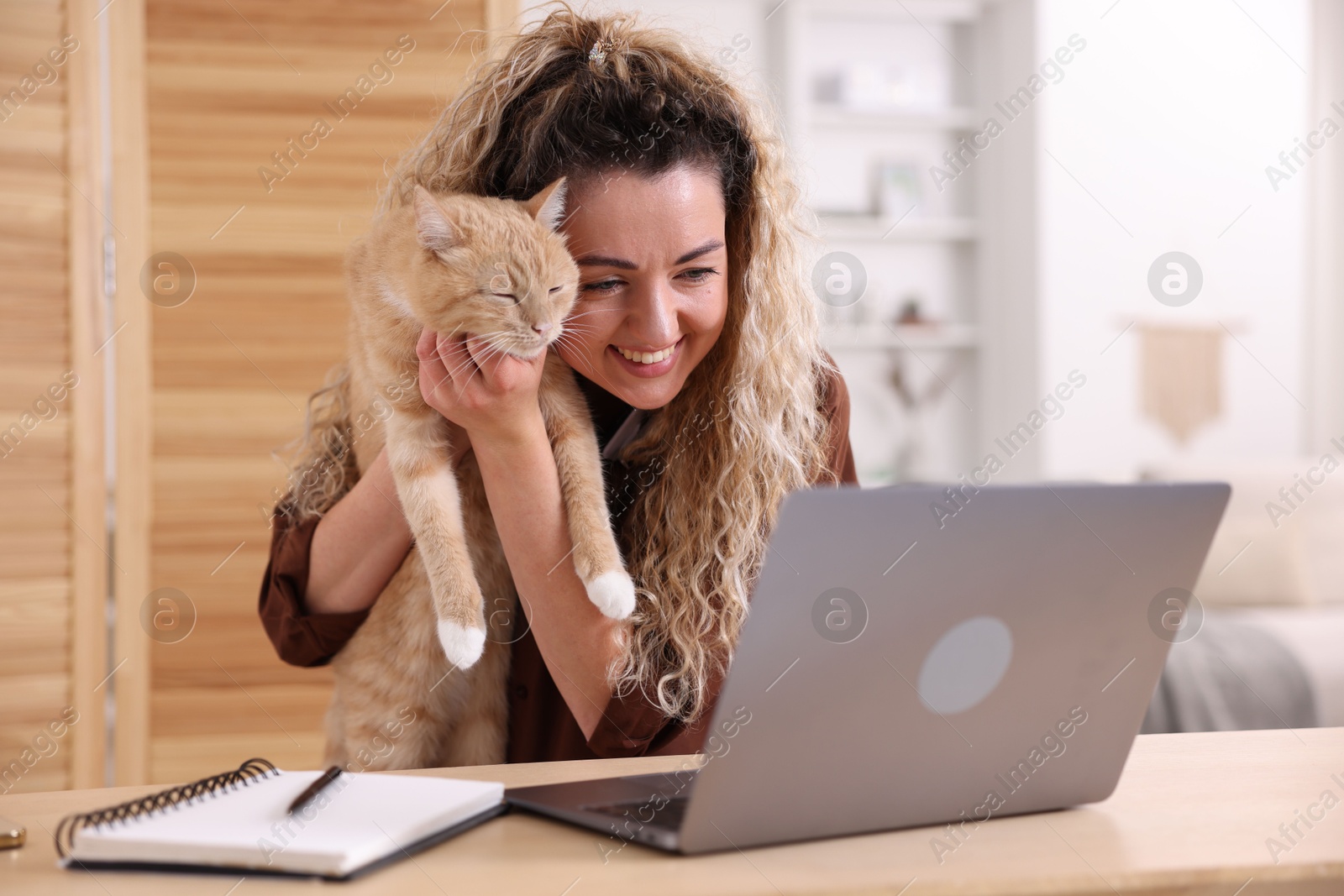 Smiling woman showing her cat by videochat at desk in home office Photo of Smiling woman showing her cat by videochat at desk in home office