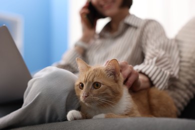 Photo of Woman talking by smartphone and stroking cat on sofa in home office, selective focus