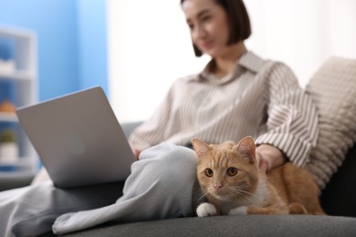 Photo of Woman working with laptop and stroking cat on sofa in home office, selective focus