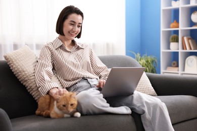 Photo of Smiling woman working with laptop and stroking cat on sofa in home office