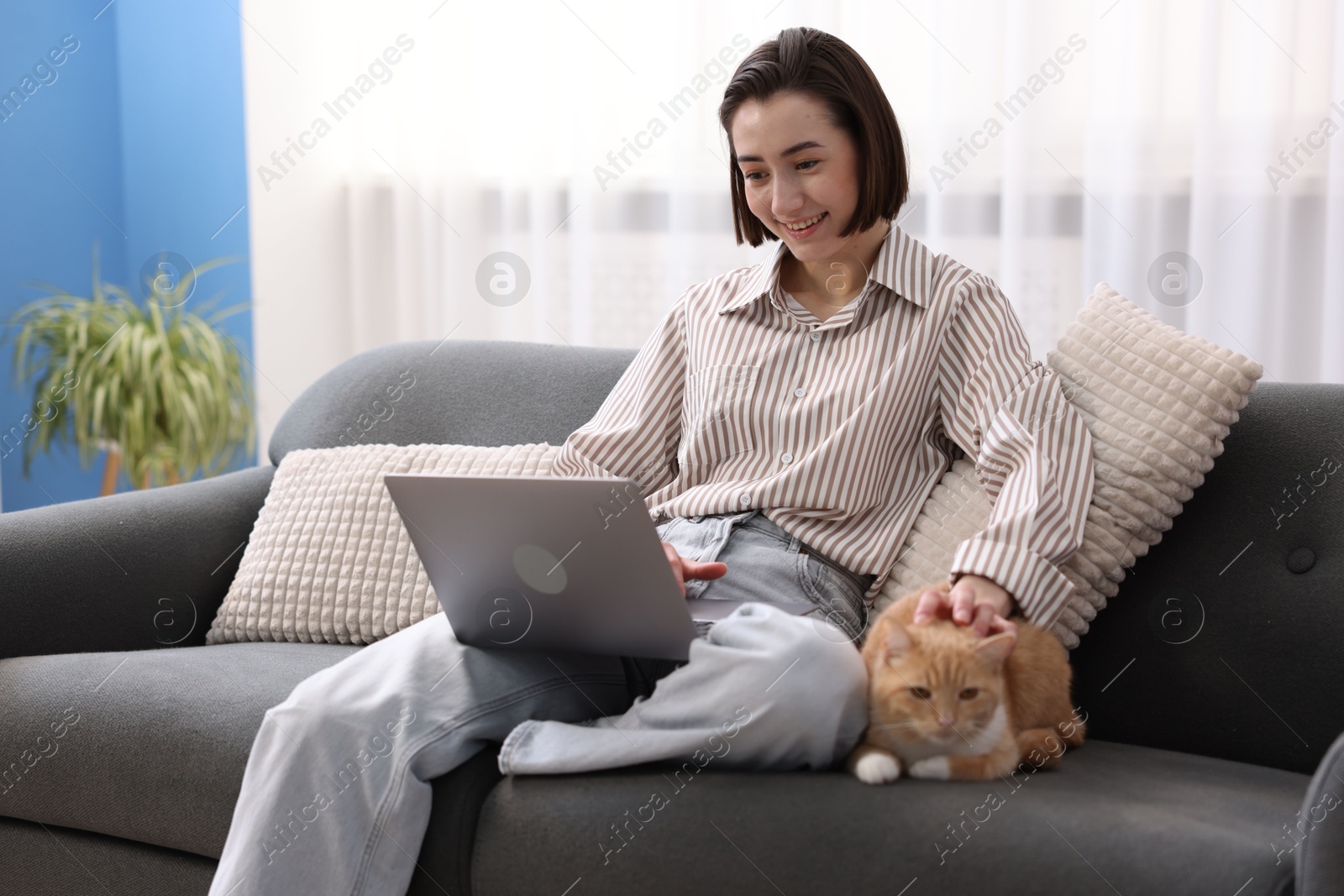 Smiling woman working with laptop and stroking cat on sofa in home office Photo of Smiling woman working with laptop and stroking cat on sofa in home office