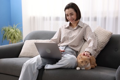Photo of Smiling woman working with laptop and stroking cat on sofa in home office