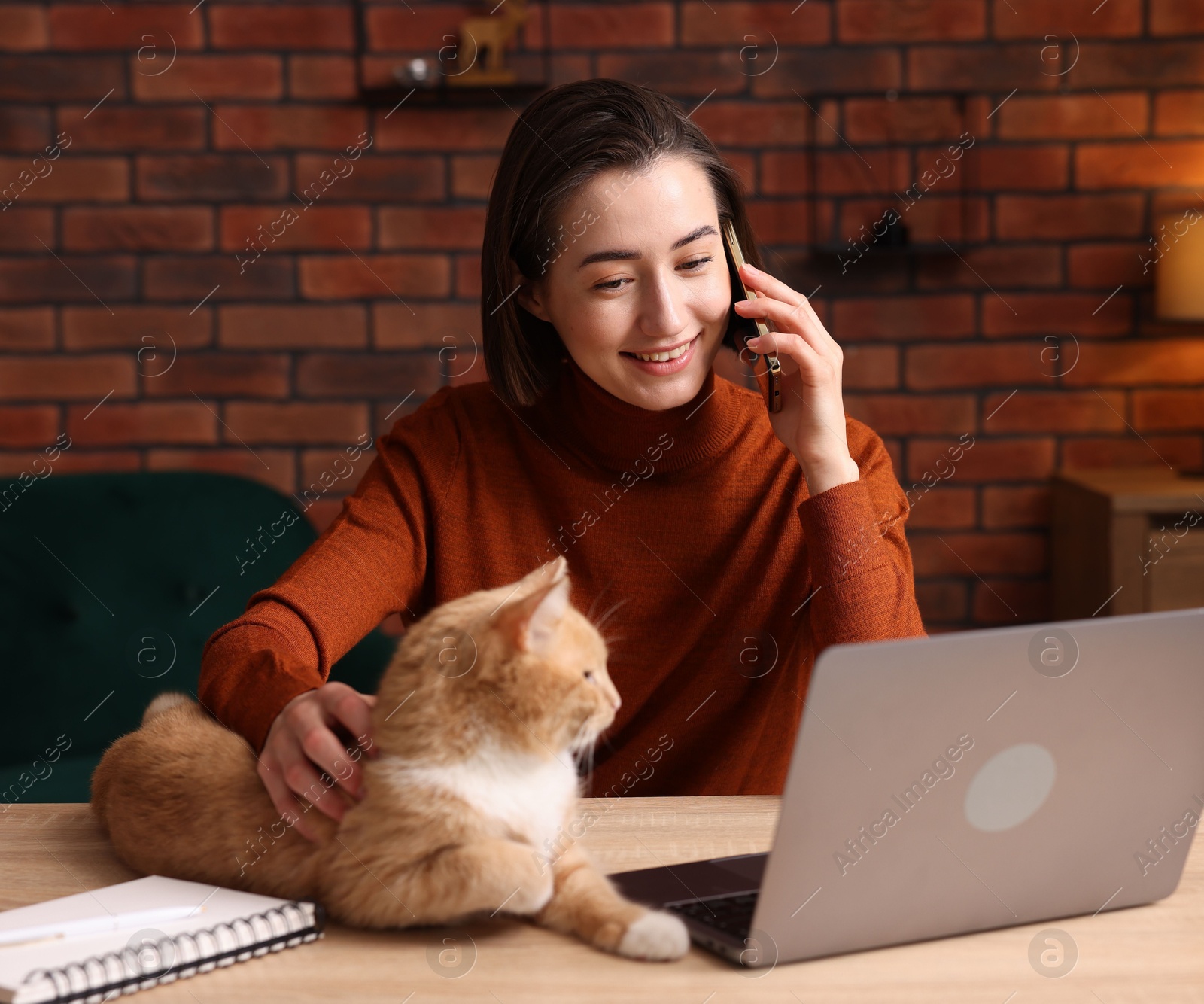Smiling woman talking by smartphone with laptop and cat at desk in home office Photo of Smiling woman talking by smartphone with laptop and cat at desk in home office