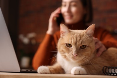 Photo of Woman talking by smartphone and stroking cat at desk in home office, selective focus