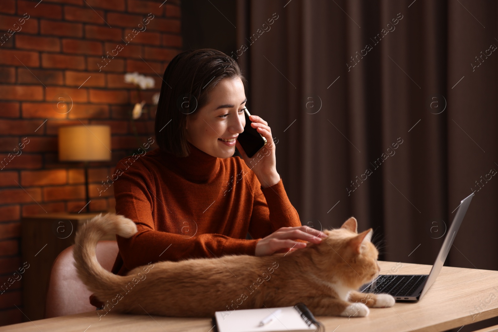 Smiling woman talking by smartphone and stroking cat at desk in home office Photo of Smiling woman talking by smartphone and stroking cat at desk in home office