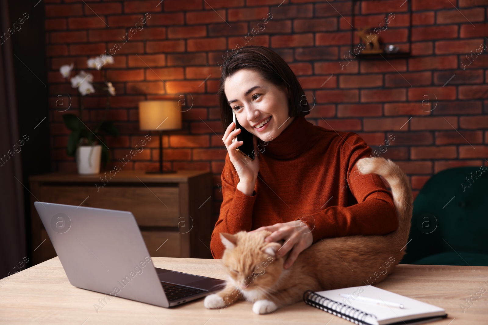 Smiling woman talking by smartphone and stroking cat at desk in home office Photo of Smiling woman talking by smartphone and stroking cat at desk in home office