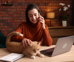 Photo of Smiling woman talking by smartphone and stroking cat at desk in home office