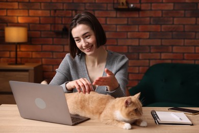 Photo of Smiling woman having videochat by laptop and stroking cat at desk in home office