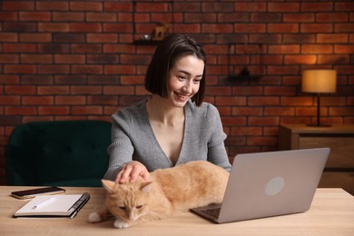 Photo of Smiling woman having videochat by laptop and stroking cat at desk in home office