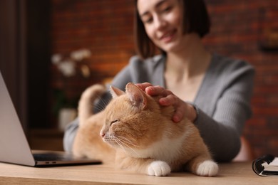 Photo of Woman having videochat by laptop and stroking cat at desk in home office, selective focus
