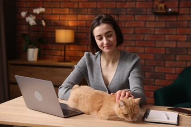 Photo of Woman stroking cat at desk in home office