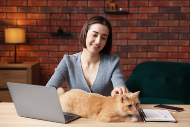 Photo of Smiling woman stroking cat at desk in home office