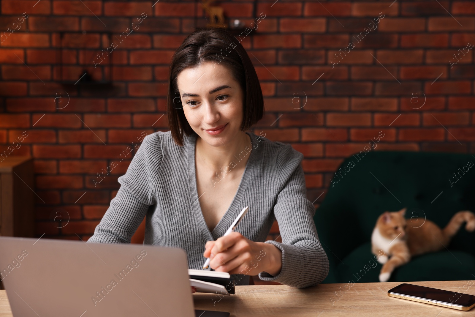 Woman having videochat by laptop at desk in home office Photo of Woman having videochat by laptop at desk in home office