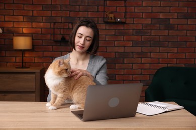 Photo of Woman stroking cat at desk in home office