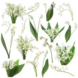 Image of Beautiful lily of the valley flowers isolated on white, collage