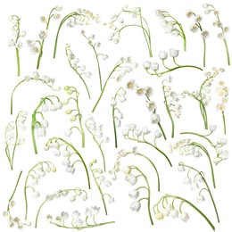 Image of Beautiful lily of the valley flowers isolated on white, set