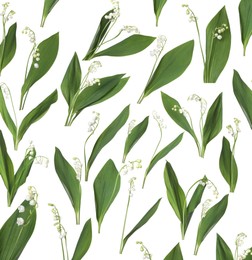 Image of Beautiful lily of the valley flowers isolated on white, collage