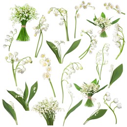 Image of Beautiful lily of the valley flowers isolated on white, collage