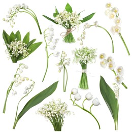 Image of Beautiful lily of the valley flowers isolated on white, collage