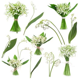 Image of Beautiful lily of the valley flowers isolated on white, collage