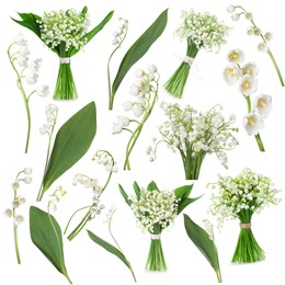 Image of Beautiful lily of the valley flowers isolated on white, collage
