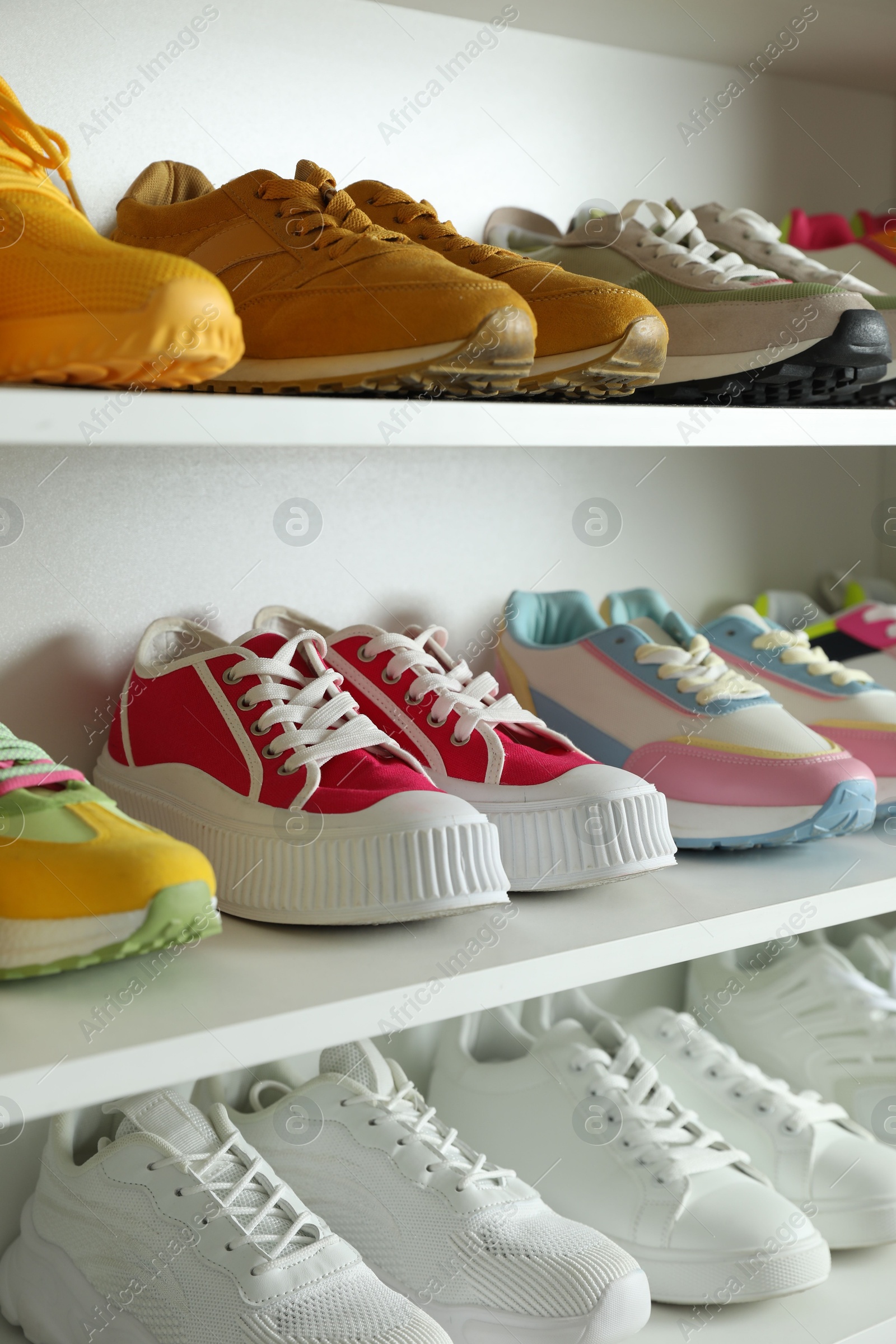 Different footwear on shelves indoors, closeup. Shoe storage Photo of Different footwear on shelves indoors, closeup. Shoe storage