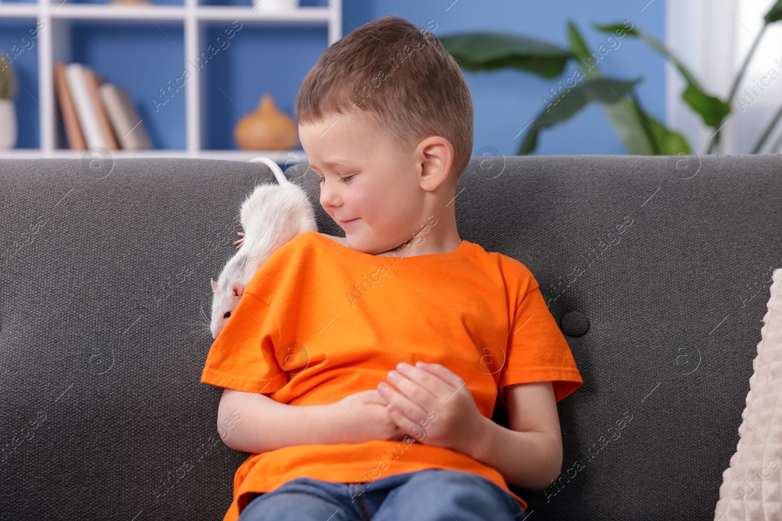 Little boy with his pet rat on sofa at home Photo of Little boy with his pet rat on sofa at home