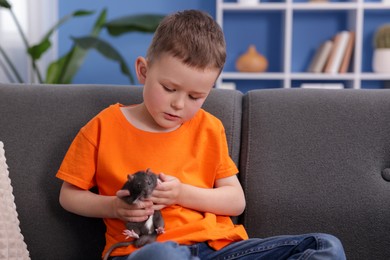 Photo of Little boy with his pet rat on sofa at home