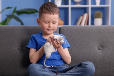 Photo of Little boy with his pet rat on sofa at home