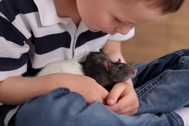 Photo of Little boy with his pet rats at home, closeup