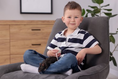 Photo of Little boy with his pet rats on armchair at home. Space for text