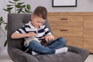 Photo of Little boy with his pet rats on armchair at home. Space for text