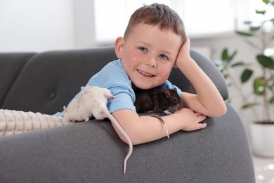 Photo of Little boy with his pet rats on sofa at home