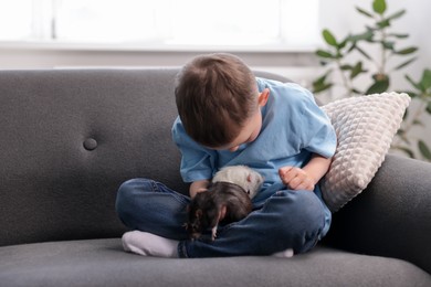 Photo of Little boy with his pet rats on sofa at home
