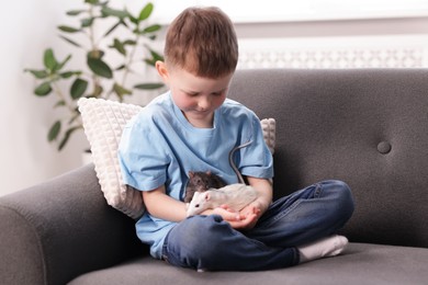 Photo of Little boy with his pet rats on sofa at home