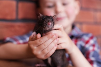 Photo of Little boy with his pet rat at wooden table indoors, closeup