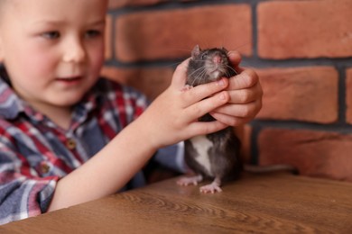 Photo of Little boy with his pet rat at wooden table indoors, closeup