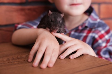 Photo of Little boy with his pet rat at wooden table indoors, closeup
