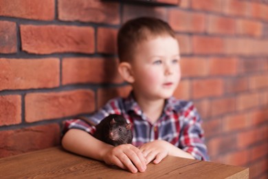 Photo of Little boy with his pet rat at wooden table indoors, selective focus
