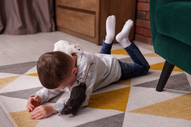 Photo of Little boy with his pet rat on floor at home
