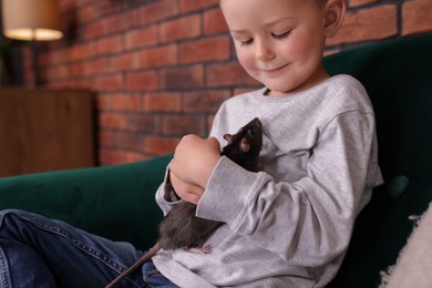 Photo of Little boy with his pet rat on sofa at home