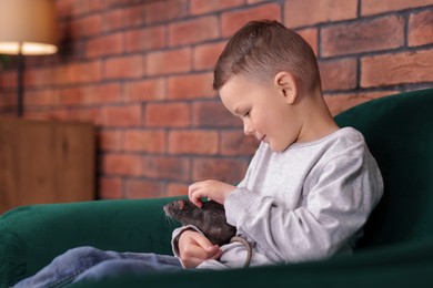 Photo of Little boy with his pet rat on sofa at home. Space for text