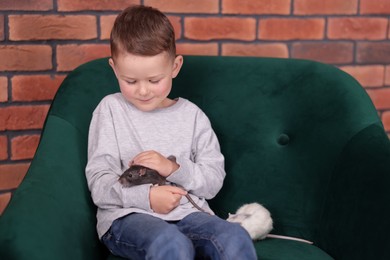 Photo of Little boy with his pet rats on sofa at home